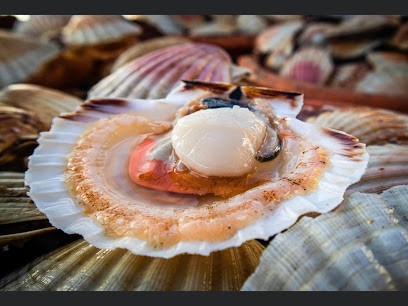 Bateau P'tit Roi, Mareyeur et Vendeur de Fruits de Mer à Dieppe