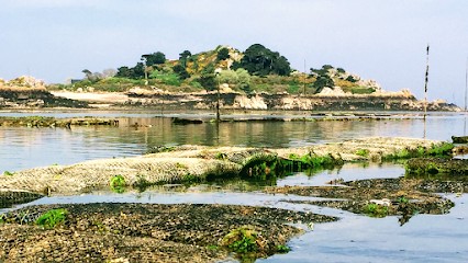 Les Huîtres Chaumard, Mareyeur et Vendeur de Fruits de Mer à Lanmodez