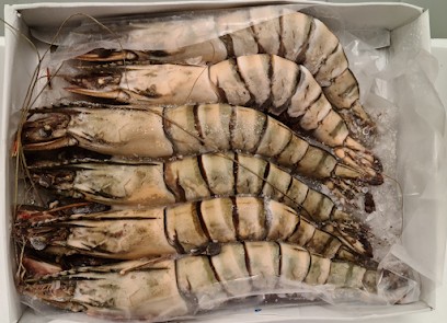 Margain Marée, Mareyeur et Vendeur de Fruits de Mer à Saint-Priest