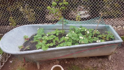 Vanderhauwaert Chantal, Mareyeur et Vendeur de Fruits de Mer à Waziers
