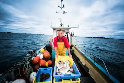 Jégo, Mareyeur et Vendeur de Fruits de Mer à Lorient