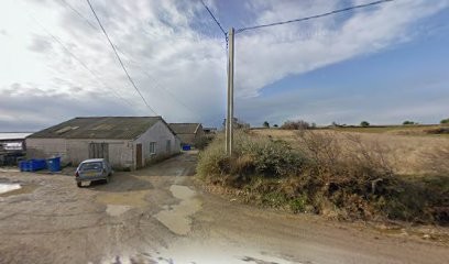 La Belle de Thau by CHRISTINE HENRY, Mareyeur et Vendeur de Fruits de Mer à Marseillan