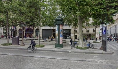 Paris Export Beer, Mareyeur et Vendeur de Fruits de Mer à Paris 08