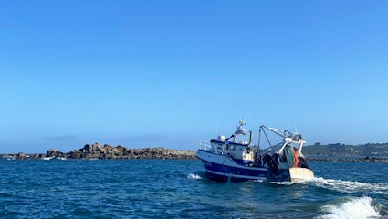 AdyCat pêche vente directe poissons araignées, Mareyeur et Vendeur de Fruits de Mer à Trédrez-Locquémeau