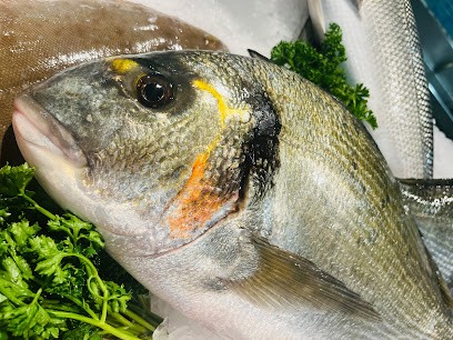 Marée Provençale, Mareyeur et Vendeur de Fruits de Mer à Avignon