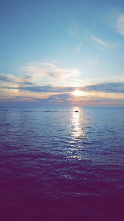 La Pêche De Boulogne-sur-Mer, Mareyeur et Vendeur de Fruits de Mer à Saint-Martin-Boulogne