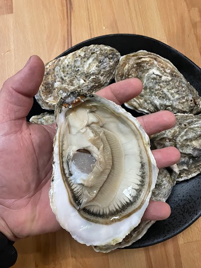 Thomas Christophe EARL, Mareyeur et Vendeur de Fruits de Mer à Bourcefranc-le-Chapus