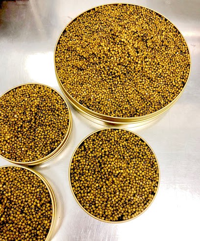 KVR, Mareyeur et Vendeur de Fruits de Mer à Clichy-sous-Bois