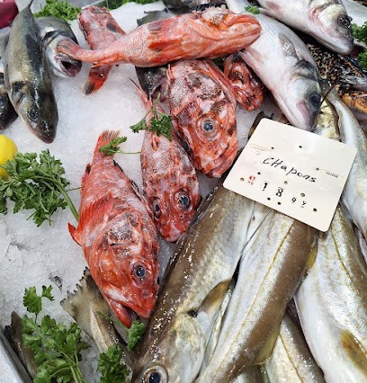 Poissonnerie Auffret, Mareyeur et Vendeur de Fruits de Mer à Lorient