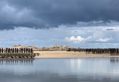 Coquillages Du Sillon, Mareyeur et Vendeur de Fruits de Mer à Lanmodez