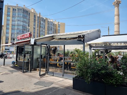 Coquillage Massena, Mareyeur et Vendeur de Fruits de Mer à Marseille 06