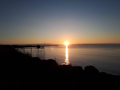 Les Viviers de Coup de Vague, Mareyeur et Vendeur de Fruits de Mer à Marsilly