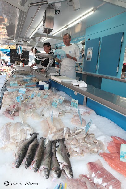 Poissonnerie Goy, Mareyeur et Vendeur de Fruits de Mer à Contamine-sur-Arve