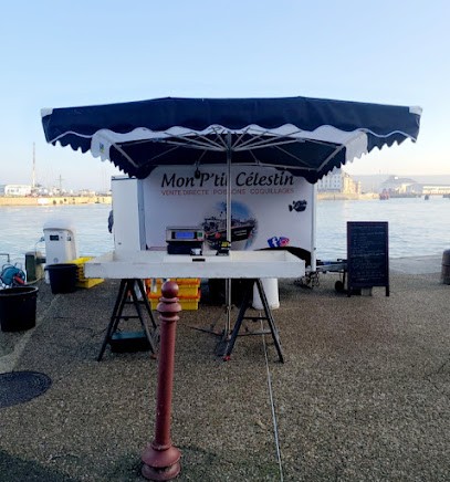 Mon P’tit Celestin, Mareyeur et Vendeur de Fruits de Mer au Tréport