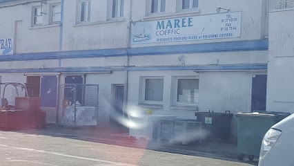 Marée Coeffic, Mareyeur et Vendeur de Fruits de Mer à Lorient